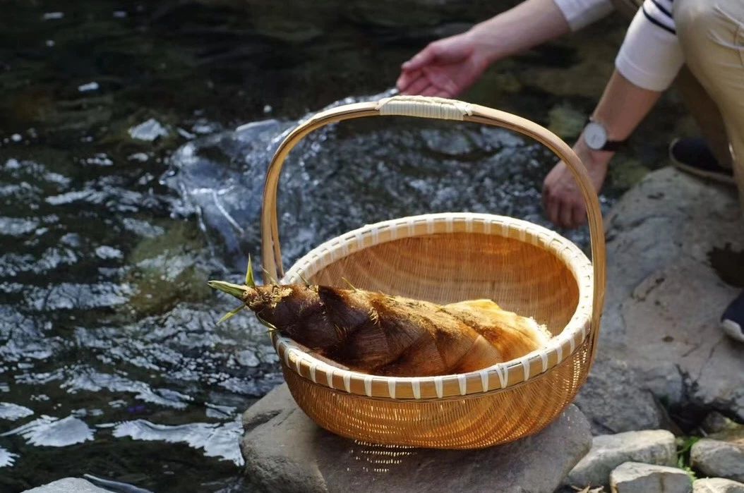 安吉·仁里息心廬，擁泉而居枕山而眠!