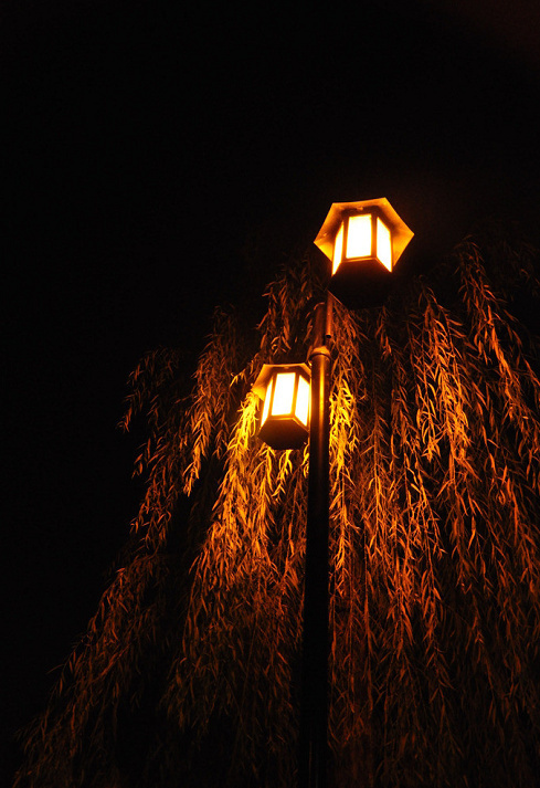 中式燈具之美，美燈配美景美哉