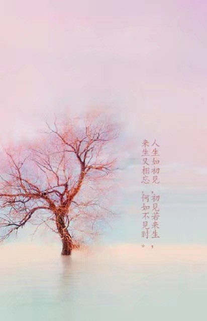 唯美帶文字古風(fēng)圖片，清新有意境古風(fēng)壁紙圖集