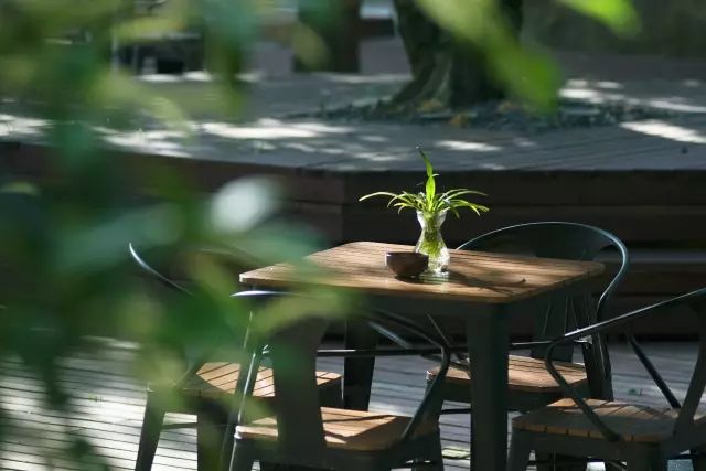 10家徽州最美民宿，領(lǐng)略徽州老宅的氣息