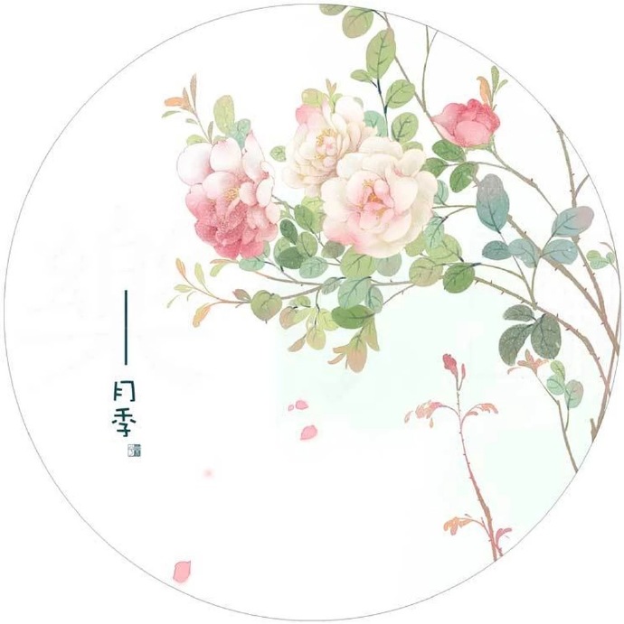 清新植物花卉插畫，可作頭像的插畫圖片