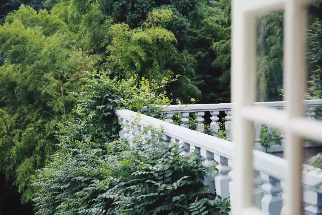 6家莫干山的新民宿，美出新境界