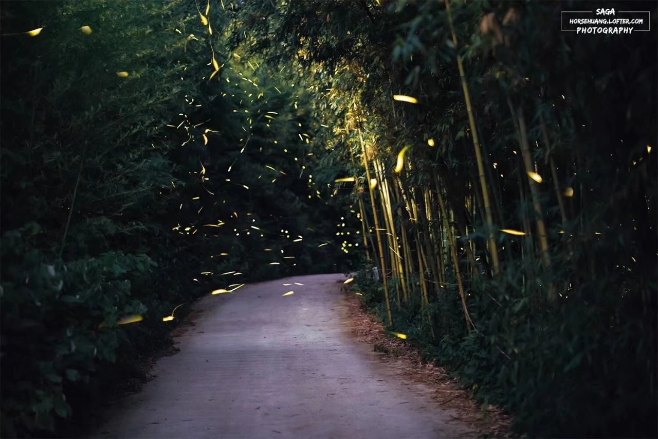 6家莫干山的新民宿，美出新境界