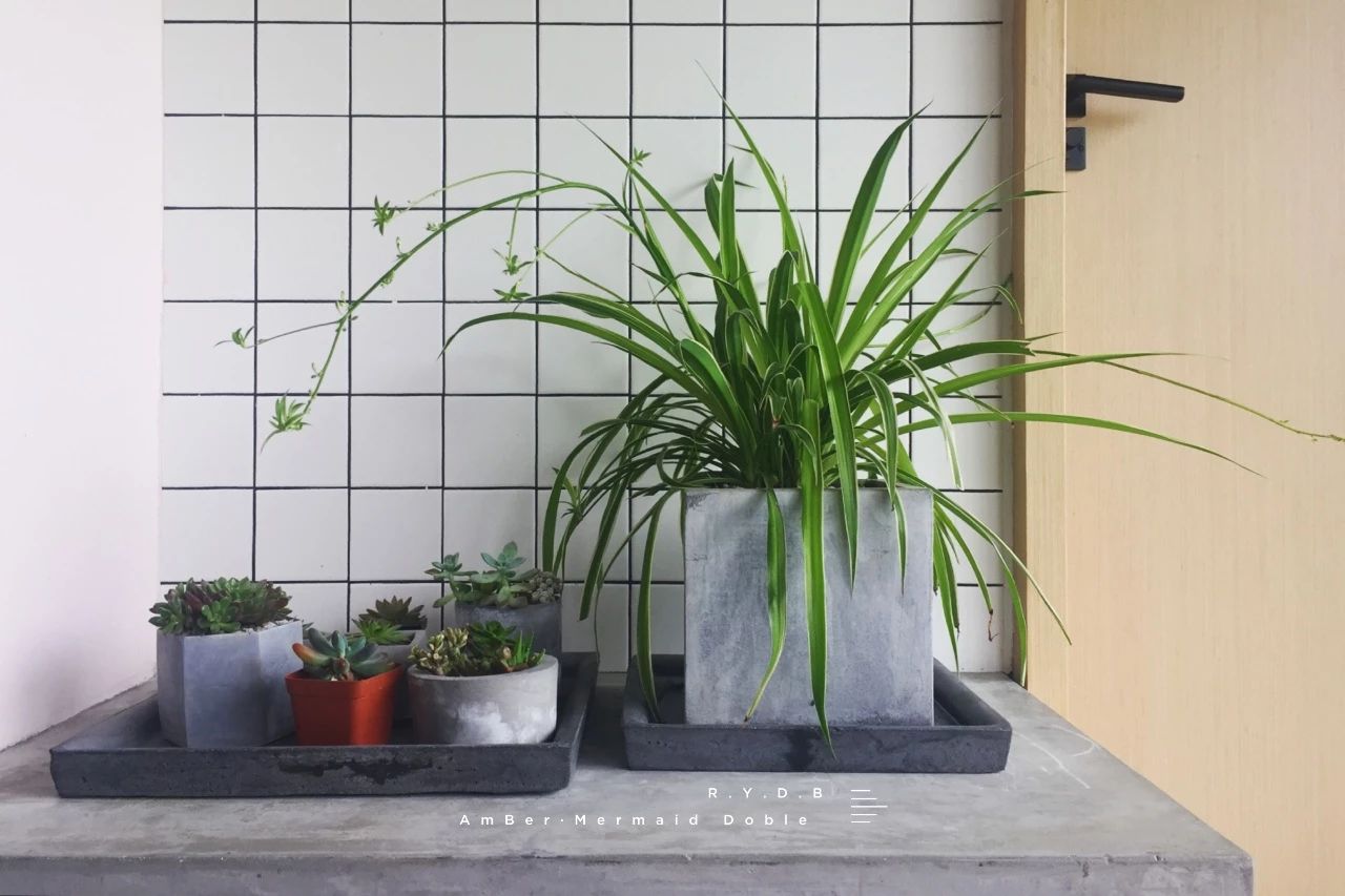 6家莫干山的新民宿，美出新境界