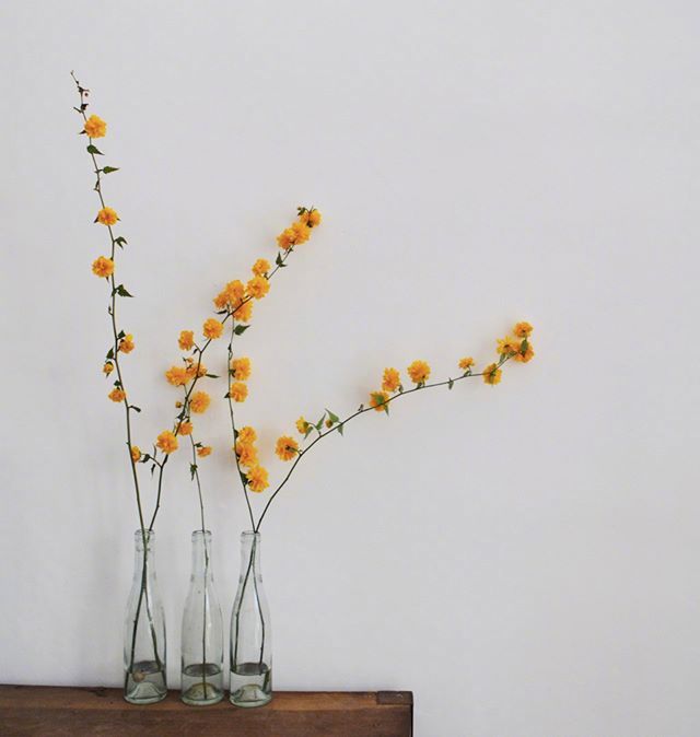 小清新插花藝術欣賞，生活如此美好