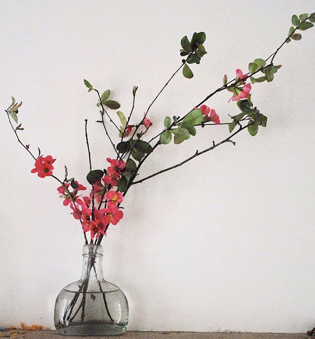 小清新插花藝術欣賞，生活如此美好