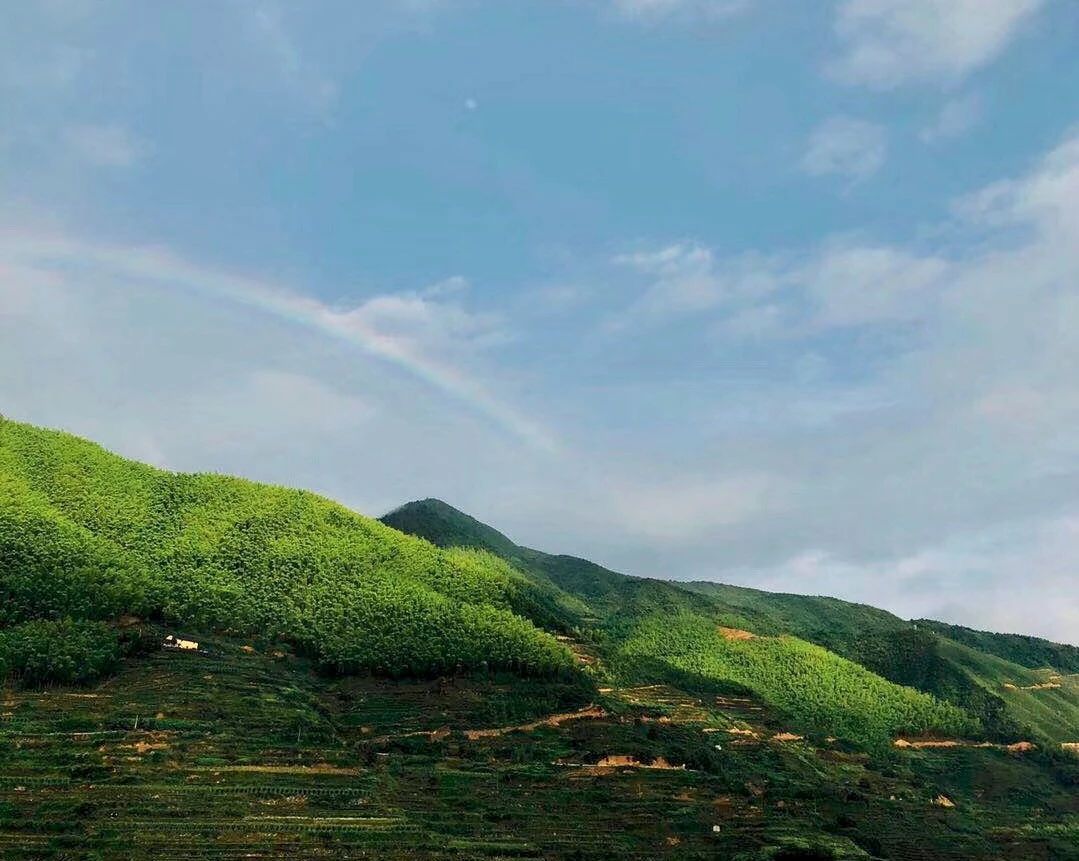 麗水遂昌|云逸遠(yuǎn)山，擁有超美的云海和銀河