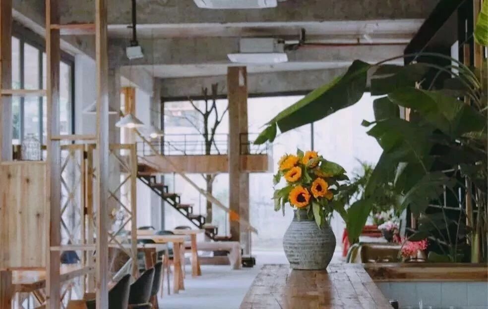 麗水遂昌|云逸遠(yuǎn)山，擁有超美的云海和銀河