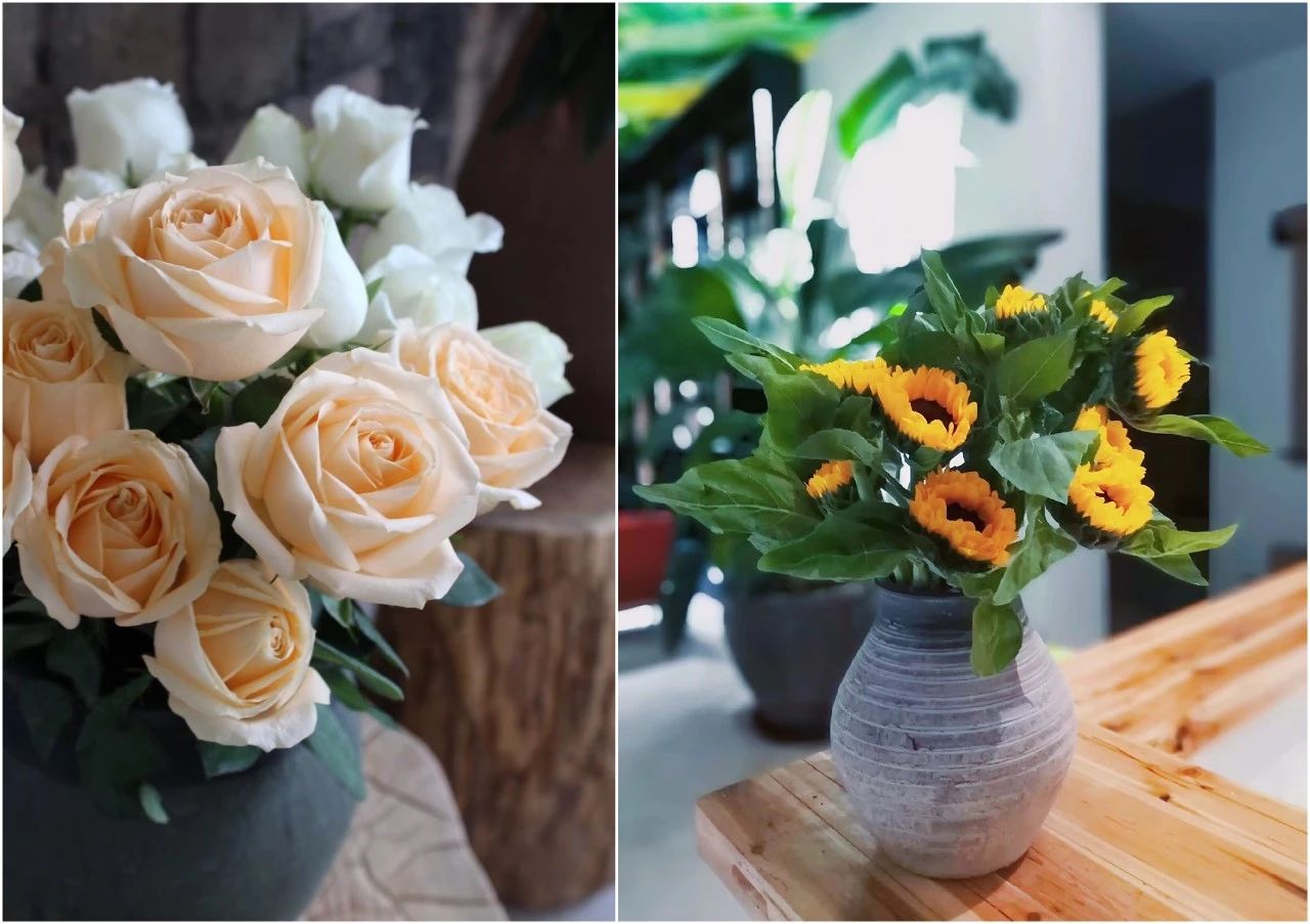 麗水遂昌|云逸遠(yuǎn)山，擁有超美的云海和銀河