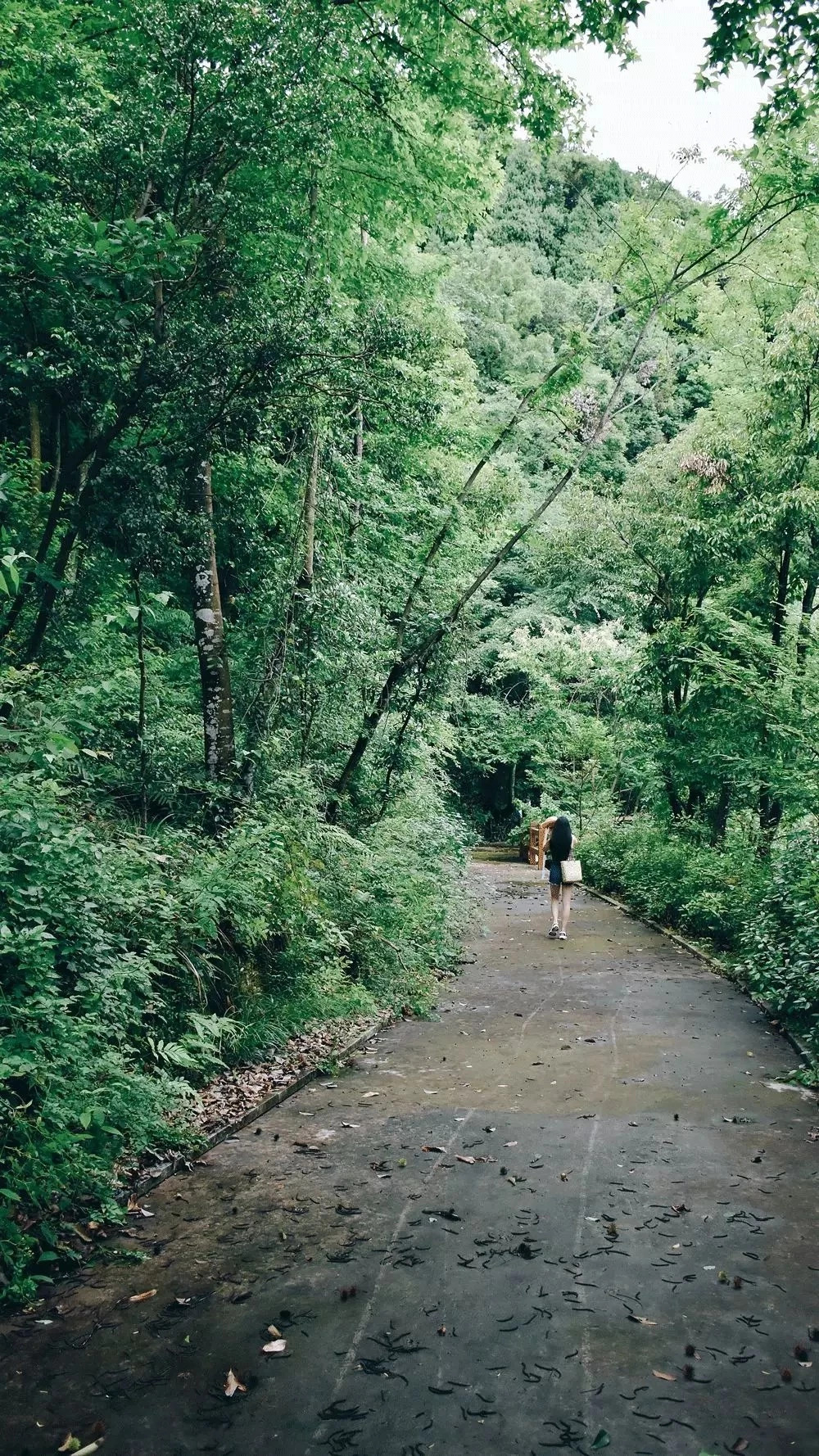 千島湖|傾境，慢生活消磨著自己的時光
