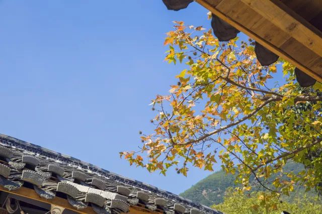 最美大山里的圖書館，感受美妙的讀書世界