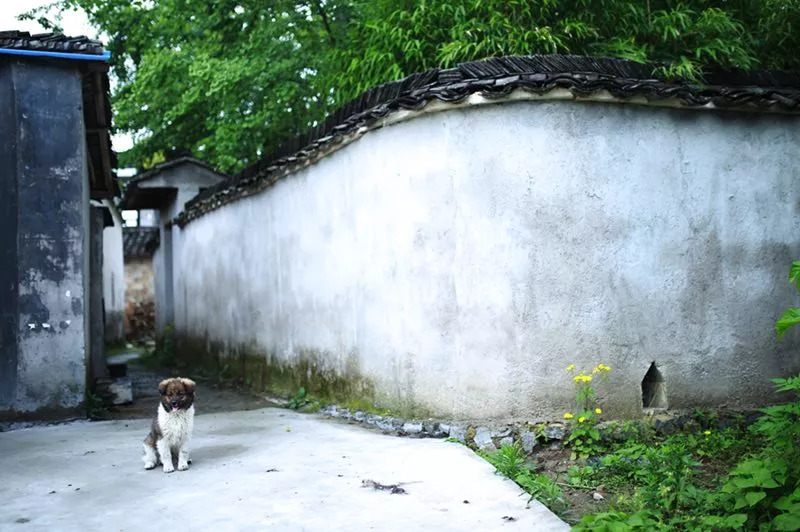 黃山·舊街墨野，浸染徽文化的地方