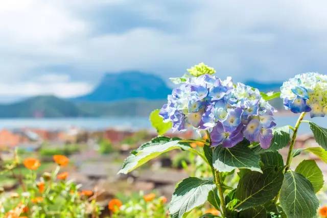 瀘沽湖新中式風(fēng)格民宿，等風(fēng)·半山