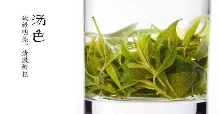 中國十大名茶之都勻毛尖