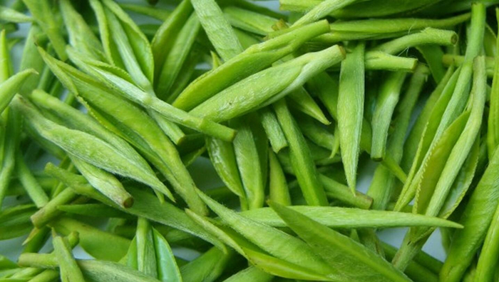 中國十大名茶之都勻毛尖