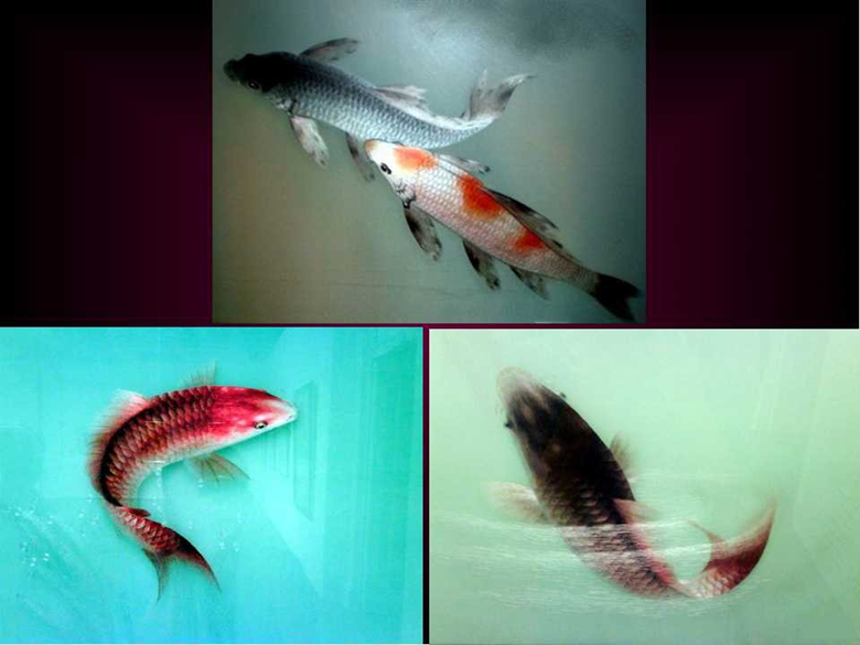 “蘇繡皇后”姚建萍，作品欣賞