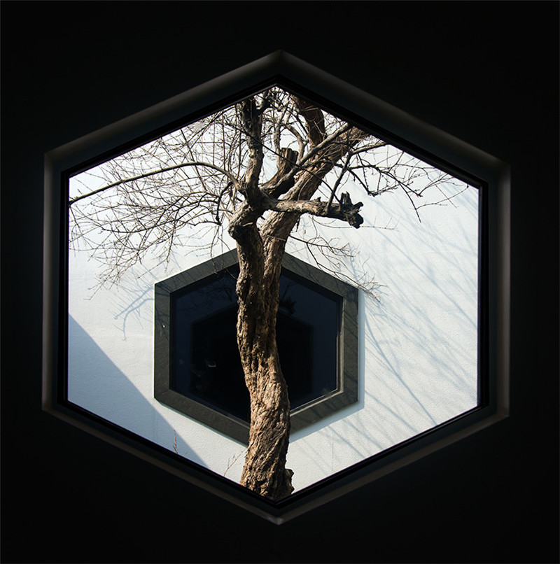 蘇州博物館，空間與園林的完美結合