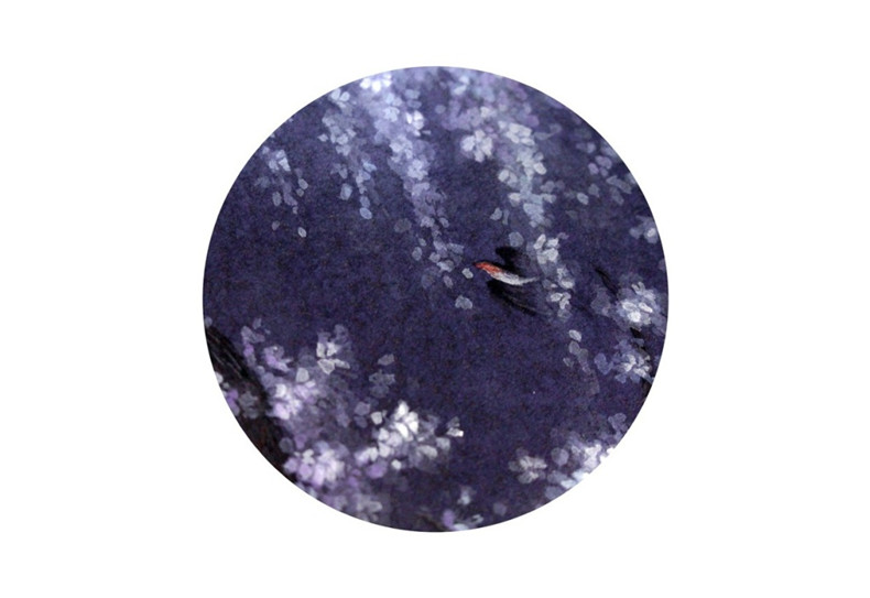 杉澤《息風(fēng).飛鐮》匠心啟航閱讀插畫欣賞