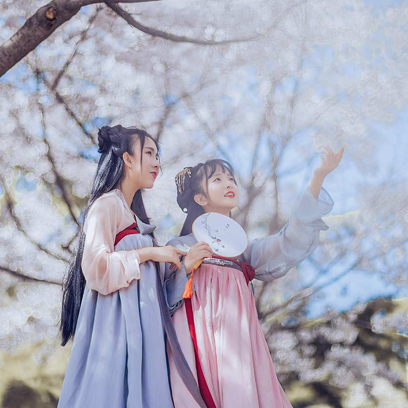 漢服齊胸襦裙【云櫻長(zhǎng)尾】