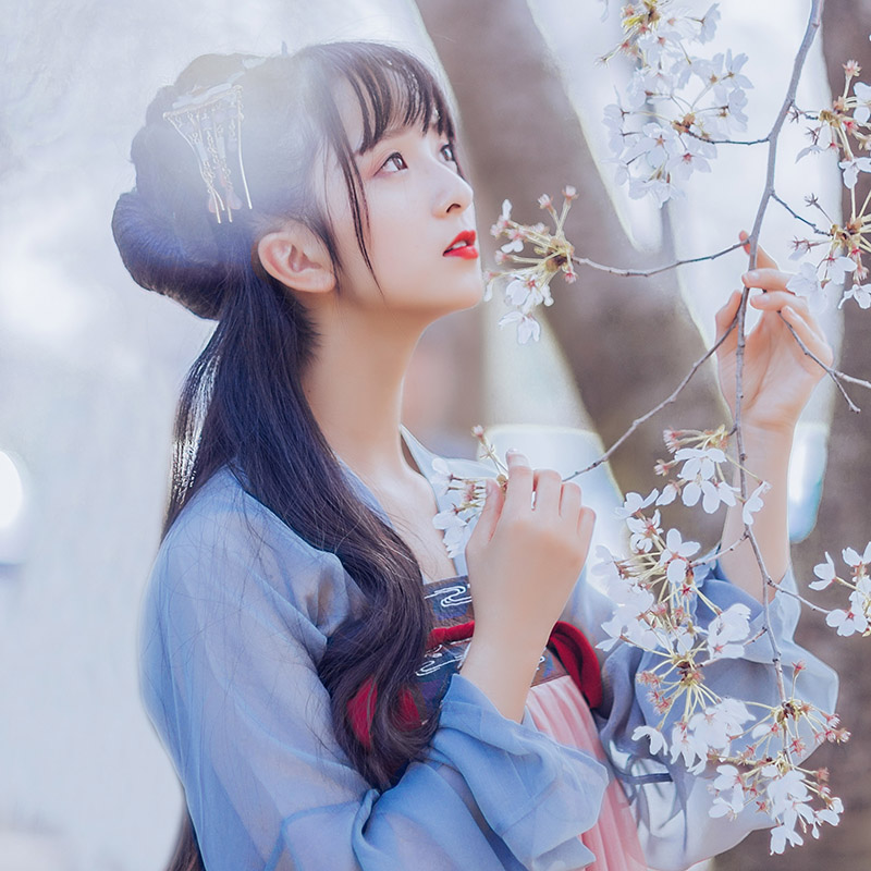 漢服齊胸襦裙【云櫻長(zhǎng)尾】