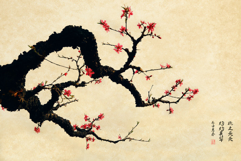 紅艷桃花繪畫國(guó)畫欣賞