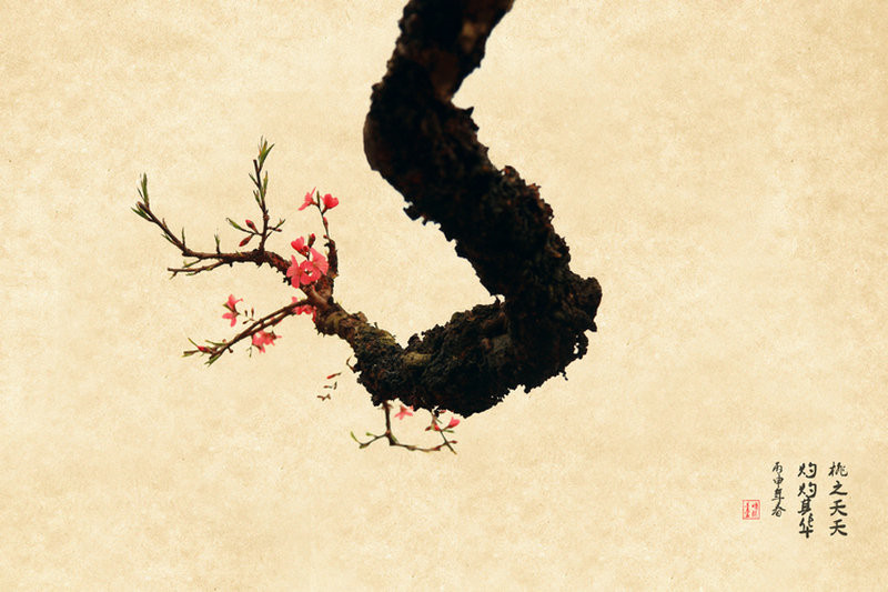 紅艷桃花繪畫國(guó)畫欣賞