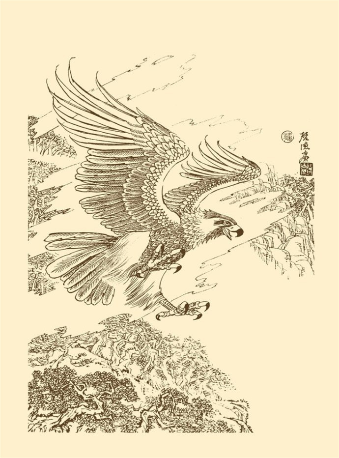 梁啟德雄鷹白描作品欣賞