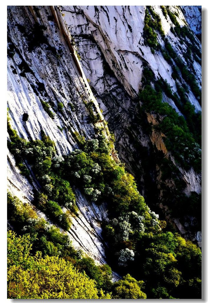 雄偉華山風(fēng)景攝影欣賞