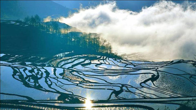 藍(lán)色的元陽梯田風(fēng)光攝影