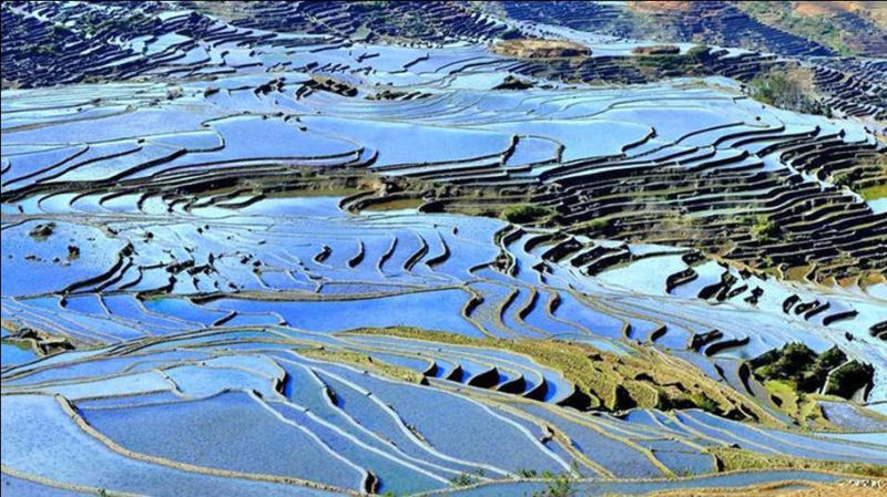 藍(lán)色的元陽梯田風(fēng)光攝影