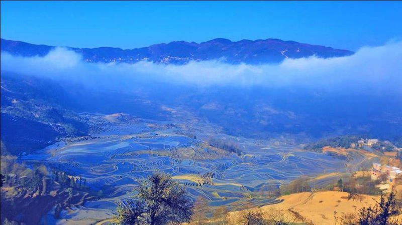 藍(lán)色的元陽梯田風(fēng)光攝影