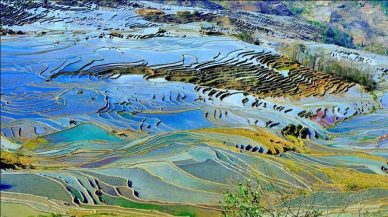 藍(lán)色的元陽梯田風(fēng)光攝影