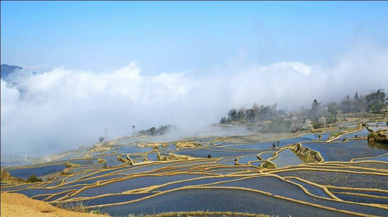 藍色的元陽梯田風光攝影