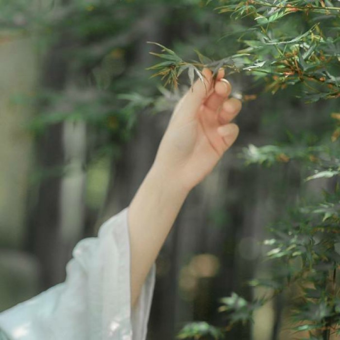 玉手撫枝古風(fēng)頭像，唯美女子纖手頭像