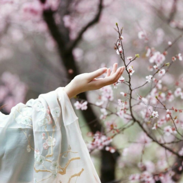 古風(fēng)女子纖纖玉手頭像，寧?kù)o清幽女生頭像