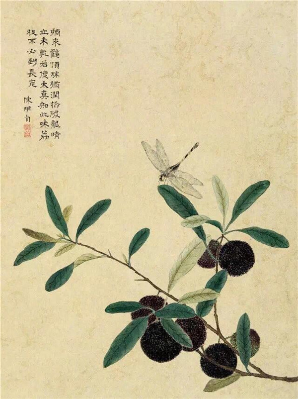 明清時(shí)代畫家陳明自繪畫的花卉動物
