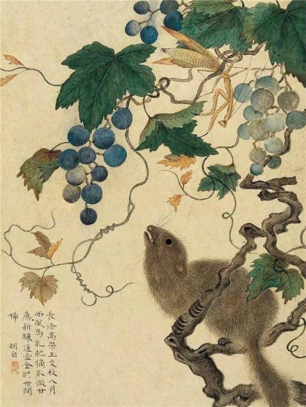 明清時(shí)代畫家陳明自繪畫的花卉動物
