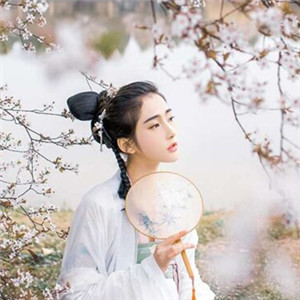 櫻花樹下古風女子頭像，真人古風頭像大全