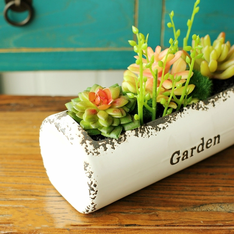 田園風(fēng)格盆景，綠意盎然盆景圖片