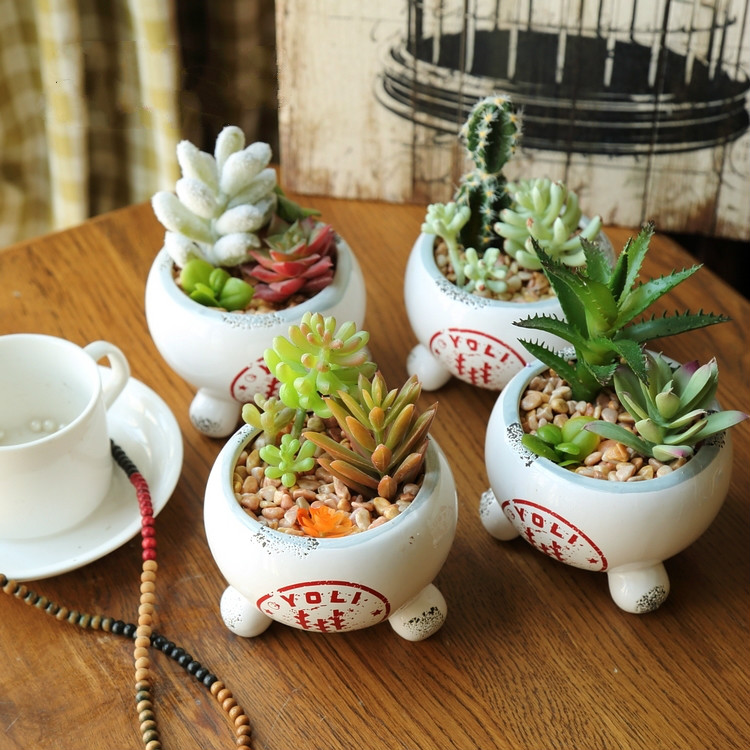 田園風(fēng)格盆景，綠意盎然盆景圖片