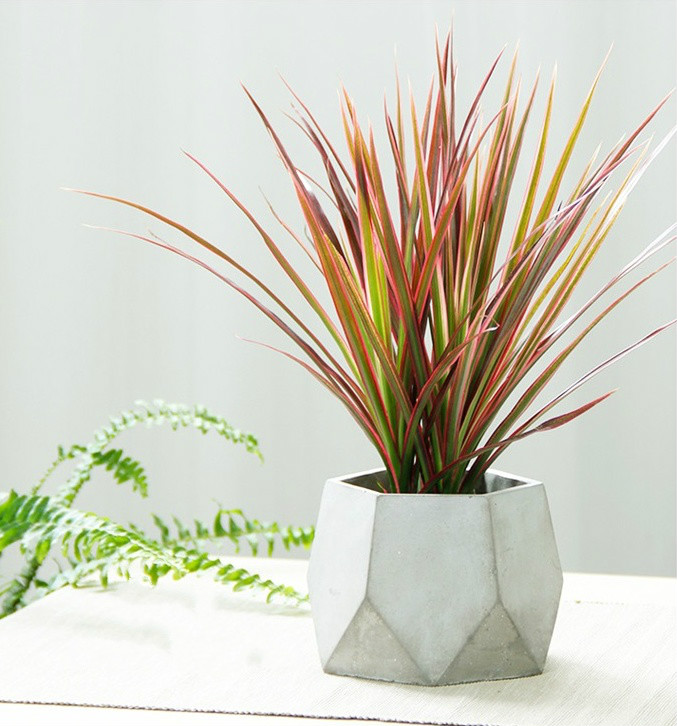 簡約水泥盆景，創(chuàng)意時(shí)尚盆景圖片