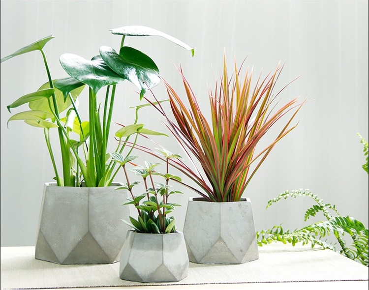 簡約水泥盆景，創(chuàng)意時(shí)尚盆景圖片