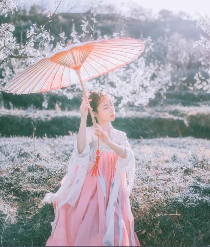 刺繡對(duì)襟齊胸襦裙，清新淡雅漢服