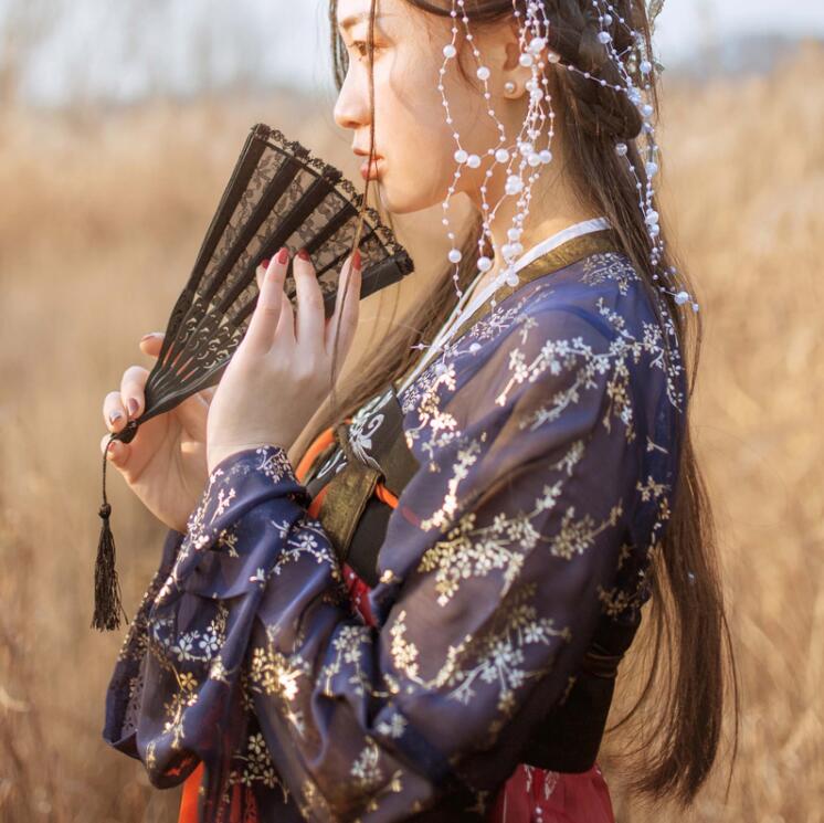 傳統(tǒng)齊胸襦裙，錦繡燙金刺繡漢服圖片