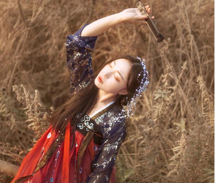 傳統(tǒng)齊胸襦裙，錦繡燙金刺繡漢服圖片