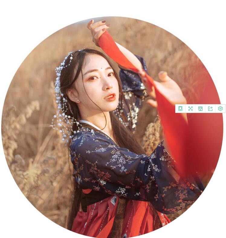 傳統(tǒng)齊胸襦裙，錦繡燙金刺繡漢服圖片