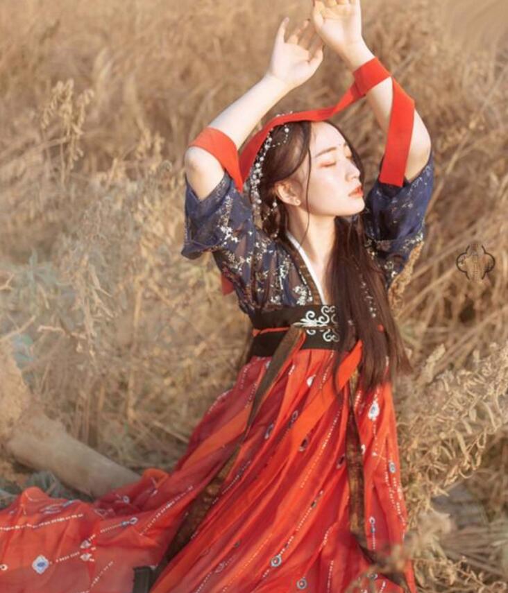 傳統(tǒng)齊胸襦裙，錦繡燙金刺繡漢服圖片