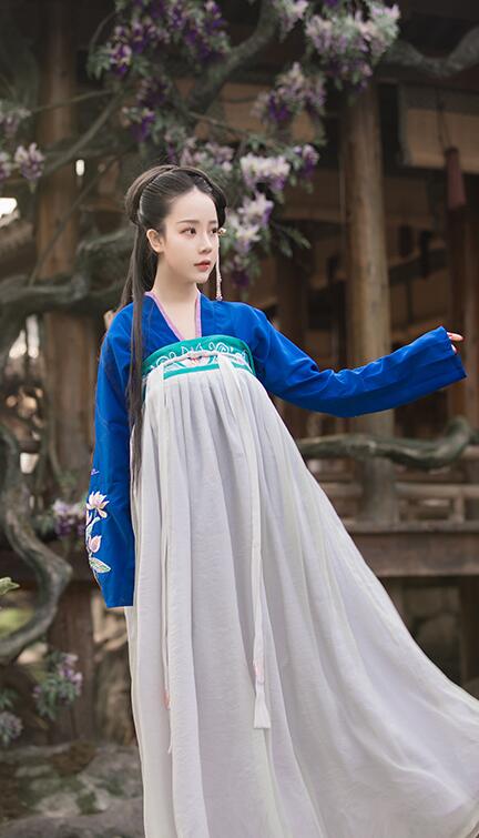 漢服荷花刺繡清新古裝，錦絲皺齊胸襦裙?jié)h服