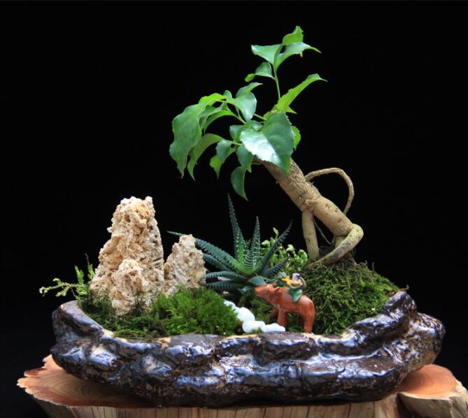 高檔水石藝術(shù)組合，綠植微景觀旱盆盆景