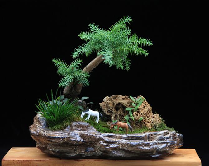 高檔水石藝術(shù)組合，綠植微景觀旱盆盆景